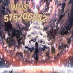 WDS....