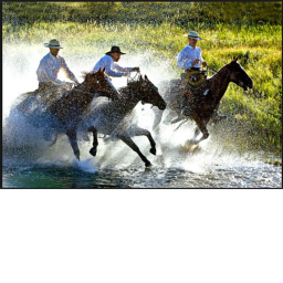 Western Life