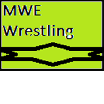 M.W.E Arena 2016