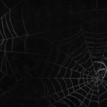 Goth Halloween Spiders & Cobwebs