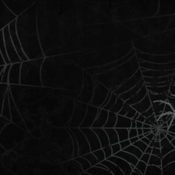 Goth Halloween Spiders & Cobwebs