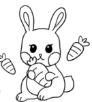 Conigli e carote