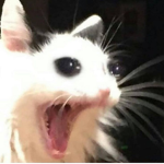 !!キルア!!