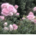 L0VES3NT