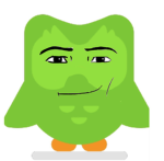 Duolingo Big Fans