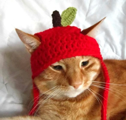 Apple cat's ! Roblox group icon