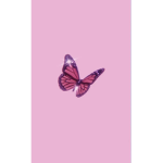 •!Willows group!•