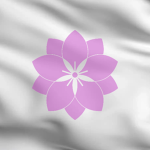 IMS - Imperium Military Service
