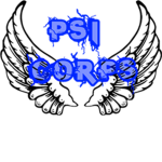 Personal Server Investigators