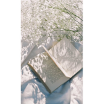 AESTHETIC ALANA:)
