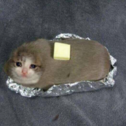 funny cat potato Roblox decal