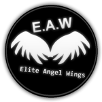 Elite Angel Wings