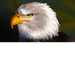 *Eagle Army*