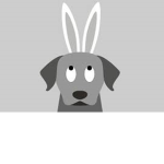 FunnyBunny Squad
