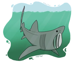 Be a basking shark icon