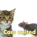 Cars united!