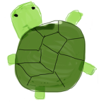 I like turtles umm ye