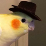 Group Thumbnail