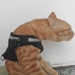 1134357