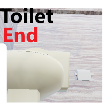 Toilet end