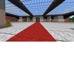 The minecraft gamers!