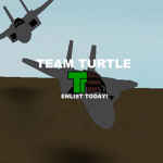 Team Turtle Air Force