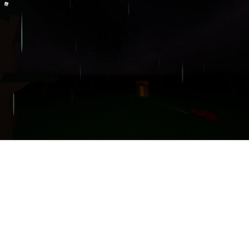 a forest 