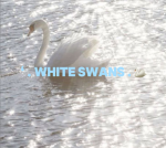 White Swans Dance Company