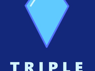 Triple Tech Store