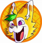 Furry Industries