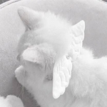 angelic<3.