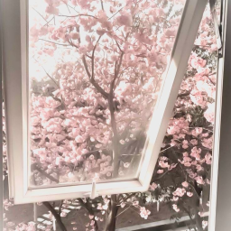 🌸