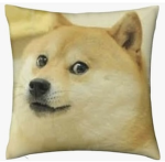Dr doge group