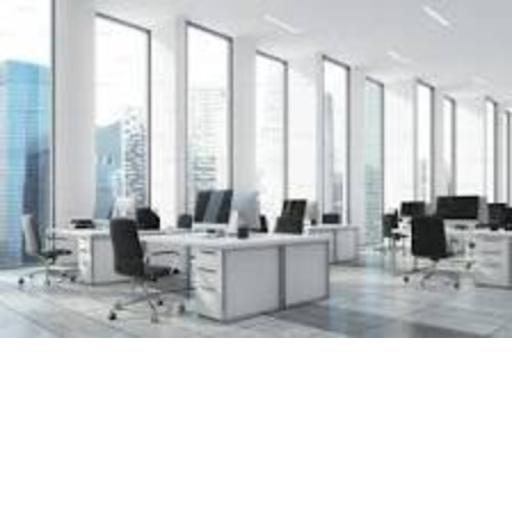 public office simulator