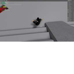 FLY