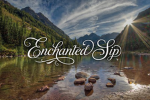 Enchanted Sip