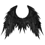 Black Demonic Wings [ CODE: BDW111 ]