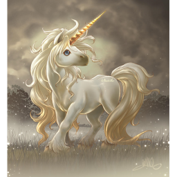 UNICORN MEETING PLACE :D
