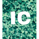 ItsyClovers