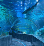 aquarium adventure [wcue]