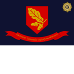 Irish Education and Training Services