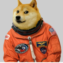 Walk to A Doge