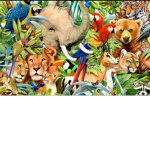ANIMAL GROUP for people who love animal's