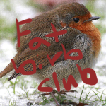 Fat Birbs