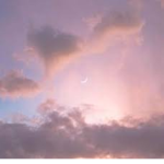 moonlili