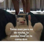 LOS MISHIS IT