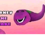 barney's group