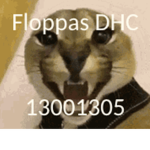 Floppas-dhc