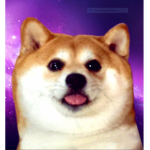 the pupper place