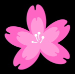 Blossomfield Academy